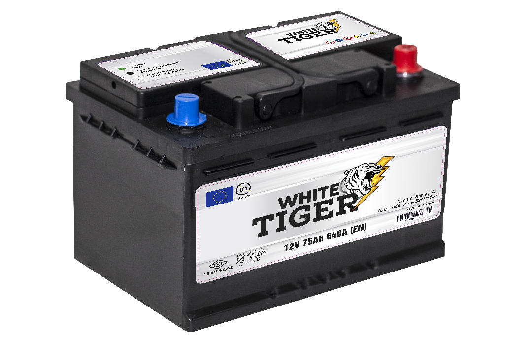 white tiger